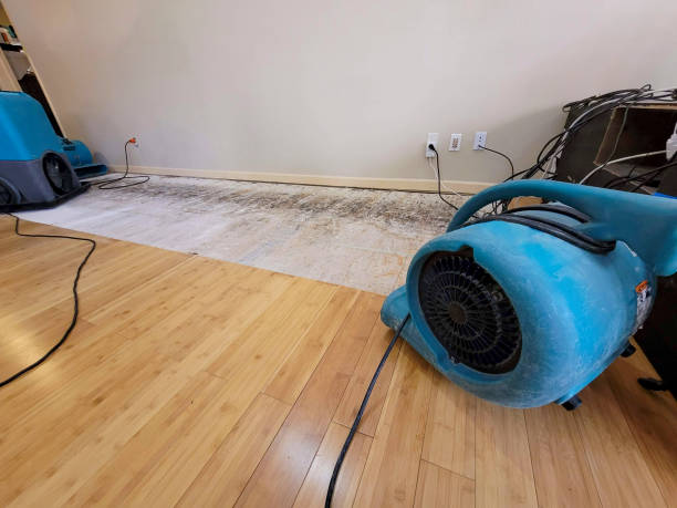 Professional Structural Drying technician working in South Webster, OH